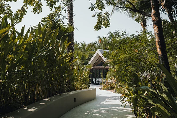 Gallery Armony Marival Resort & Spa Punta de Mita – MGallery Collection