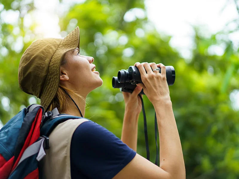 Jungle & Canopy Adventures