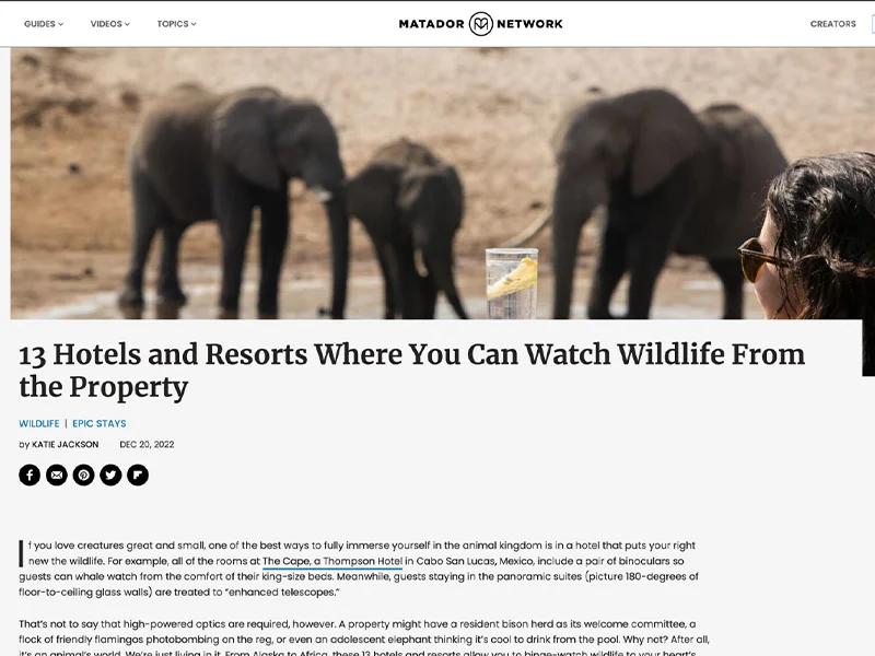 13 Hotels and Resorts Where You Can Watch Wildlife From the Property